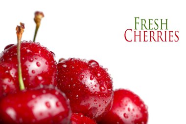 Fresh cherry berries with drops clipart