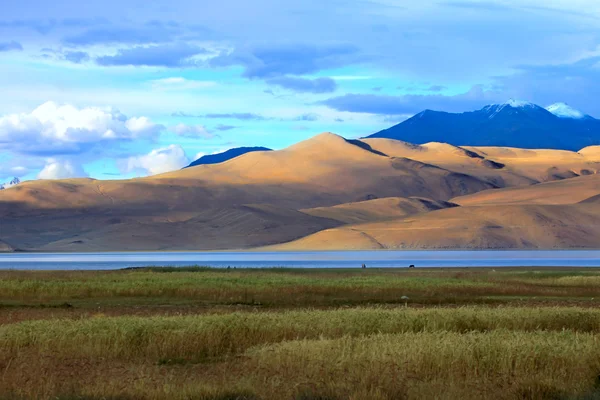 Krajobraz z góry jezioro tso moriri — Zdjęcie stockowe