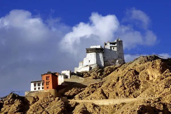Fort e Namgyal Gompa em Leh — Fotografia de Stock