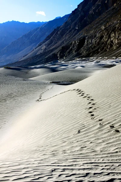 Stock image Landscape with sand dunes