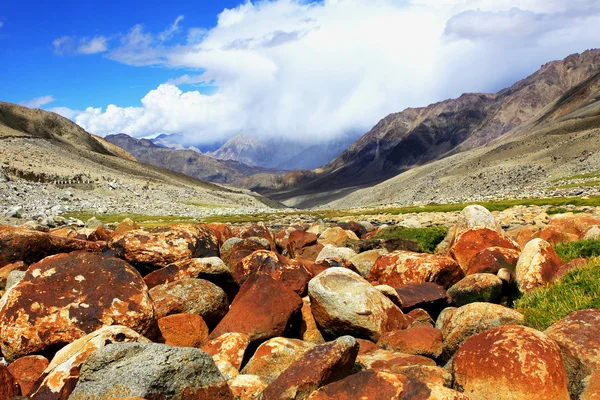 Dalen med sten, stenar, mossa i Himalaya. — Stockfoto