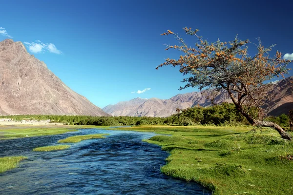 Krajobraz z rzeką w górach. Himalaje — Zdjęcie stockowe