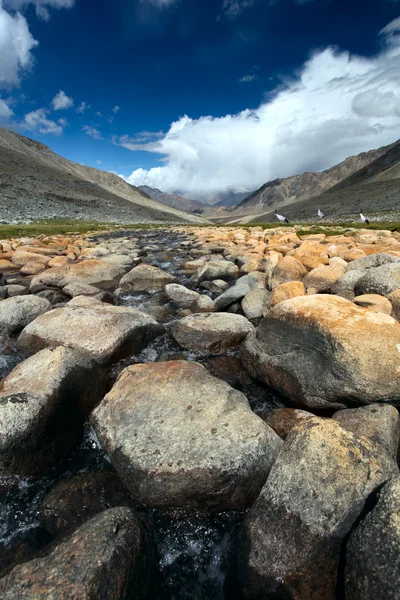 Valle con río y piedras en Himalaya . —  Fotos de Stock