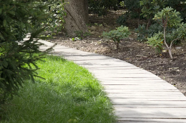 stock image Wooden track in the botanical garden