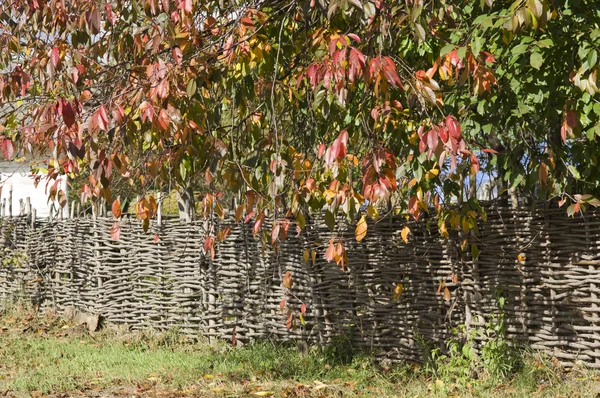 Podzimní obrázek venkova — Stock fotografie