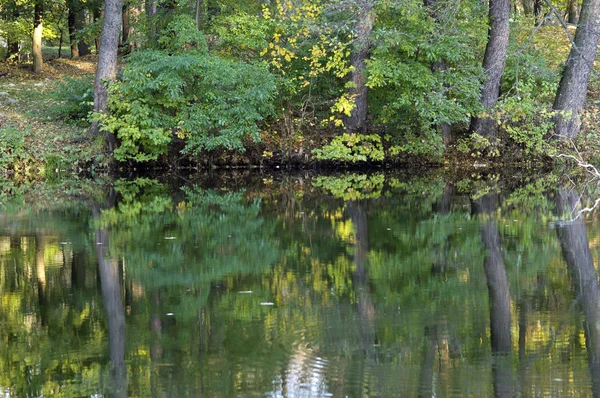 Herbst Fluss sonniger Tag — Stockfoto
