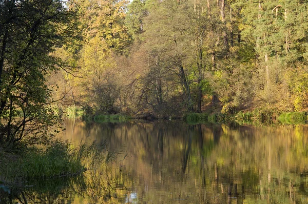 Stock image Autumn river sunny day