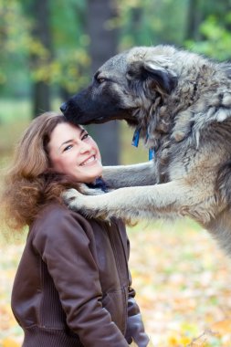 genç bir köpek ile