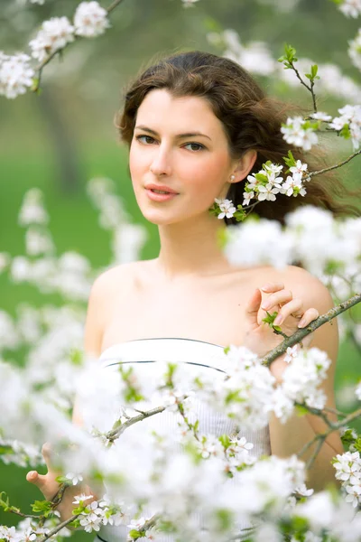 Jarní krása — Stock fotografie