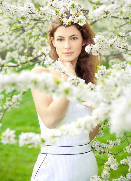 Blossoming spring — Stock Photo, Image