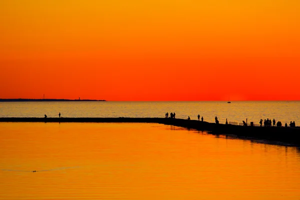 Summer sunset — Stock Photo, Image