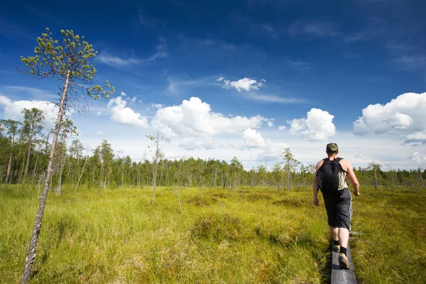 stock image Hiking at ruunaa, finland