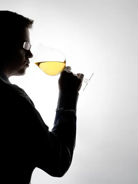 葡萄酒品鉴 — 图库照片