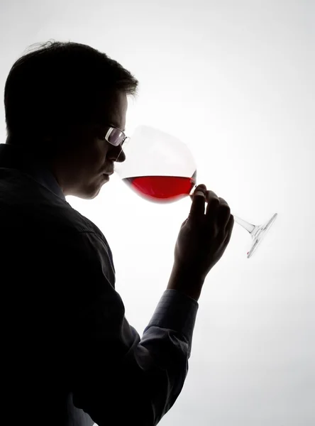 stock image Tasting wine