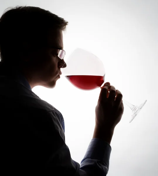 Vinprovning — Stockfoto