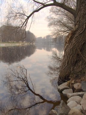 Early morning at the river in tartu, estonia clipart