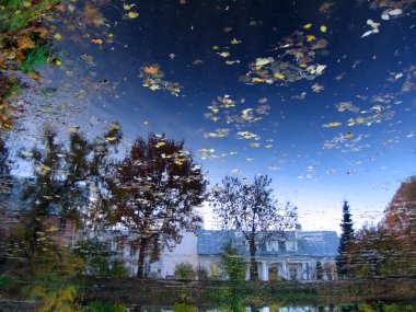 Reflection of sky in pond in botanic garden, Tartu, Estonia clipart