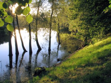 güneşli akşamı sakin bir nehir Tartu, Estonya