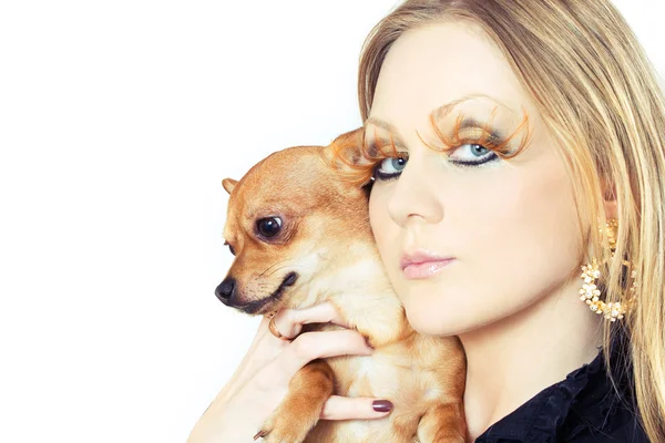 Schönheit mit ihrem Chihuahua — Stockfoto