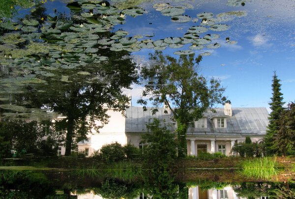 Reflection of nature in pond of botanic garden in tartu, estonia