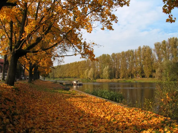 Autumn view at the river in tartu, estonia — Stock Photo, Image