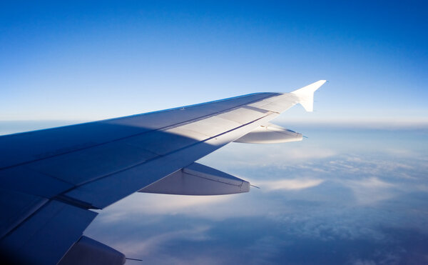 Арикрафтское крыло
