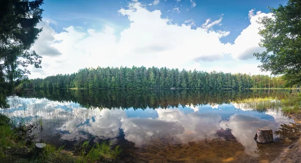 夏の湖のシーン — ストック写真