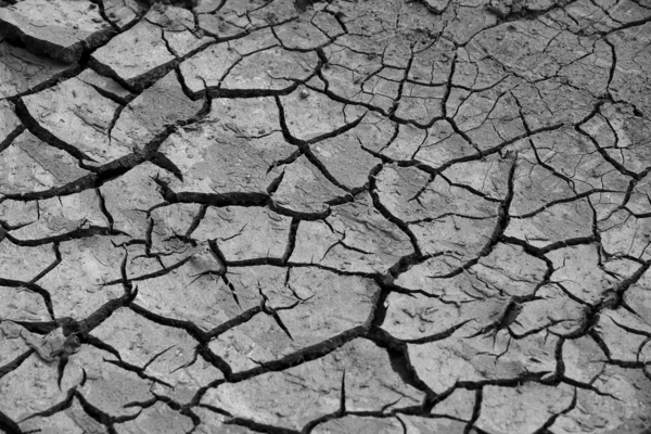 stock image Cracked soil