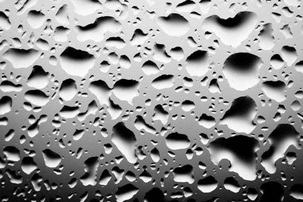 Gouttelettes d'eau gros plan, monochrome — Photo