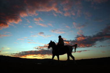 Sunset Horserider clipart