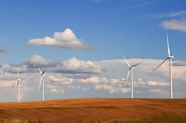 Turbinas eólicas en los campos de grano — Foto de Stock