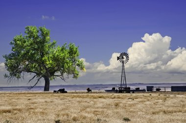 Cattle near a water tank and windmill clipart