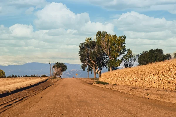 Estrada rural vazia — Fotografia de Stock