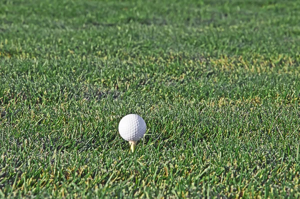 ティーのゴルフ ・ ボールのクローズ アップ — ストック写真