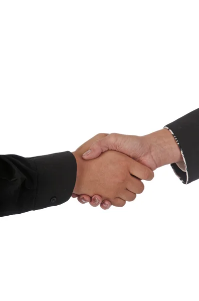 Multi-Racial Handshake — Stock Photo, Image
