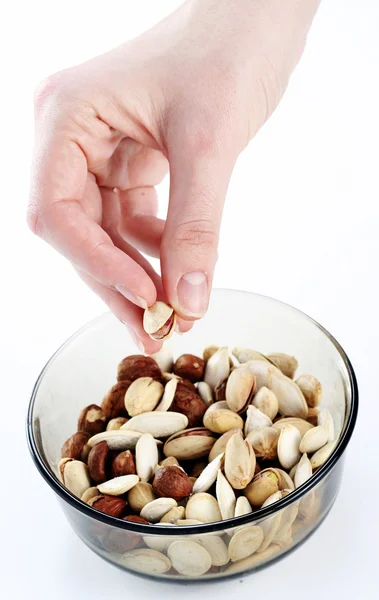 stock image Nuts