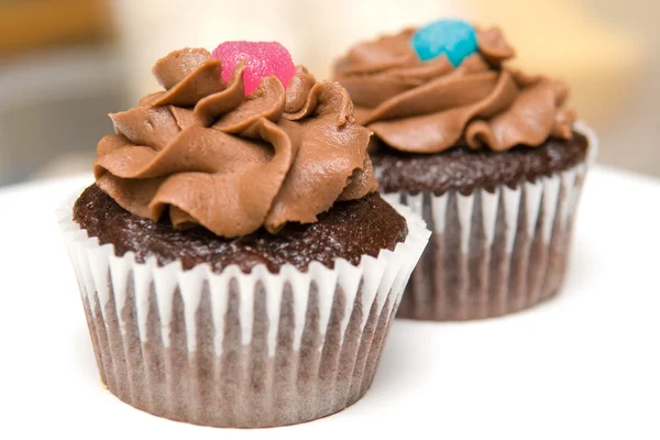 Dois cupcakes de chocolate — Fotografia de Stock