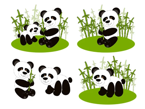 Panda schattig set — Stockvector