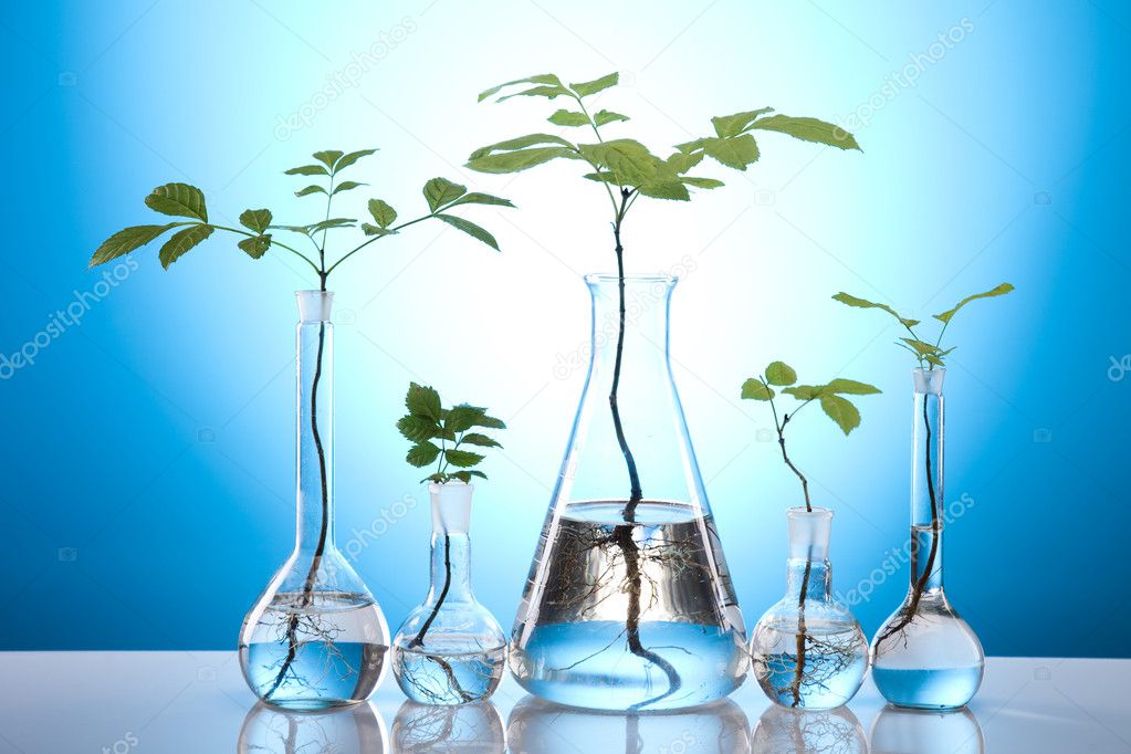 Plants and laboratory