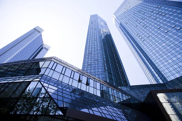 Glass skyscrapers,business center — Stock Photo, Image