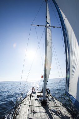White sails clipart