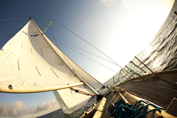 Sailing! — Stock Photo, Image