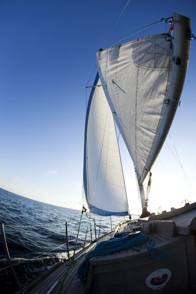 Вітрильний спорт у відкритому морі — стокове фото