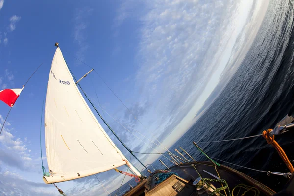 White sails — Stock Photo, Image