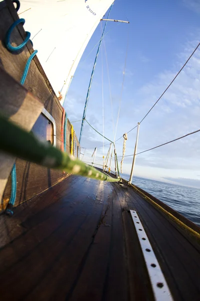Close up Sailing — стоковое фото