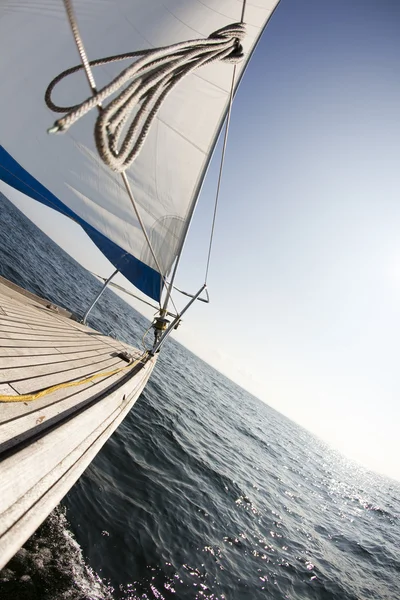 Sailing boat in the sea — Stock Photo, Image