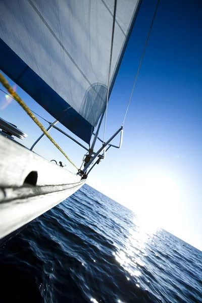 海、 太阳、 风帆 — 图库照片