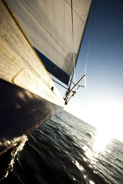 Havet, solen och segel — Stockfoto