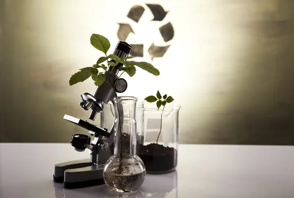 化学实验室玻璃器皿设备、 生态 — 图库照片