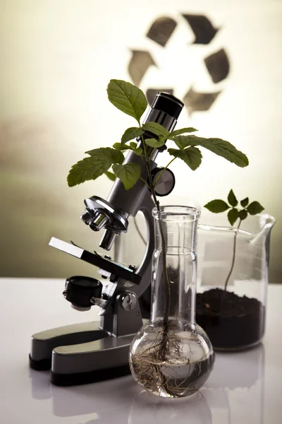 Chemické laboratorní sklo zařízení, ekologie — Stock fotografie
